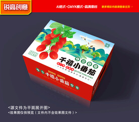 小西红柿包装 小番茄礼盒