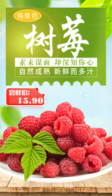 新鲜树莓海报
