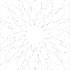 花纹 