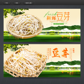 豆芽