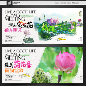赏荷花