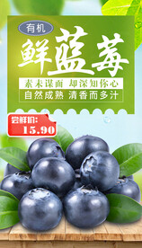 蓝莓