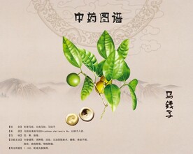 马钱子