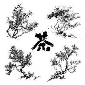 茶树手绘版画插画