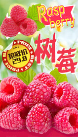 树莓海报