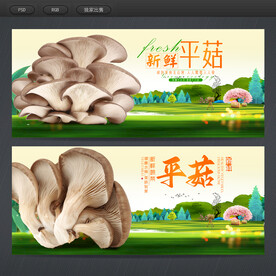 平菇