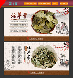 淫羊藿