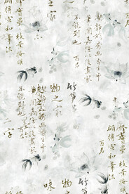 金鱼