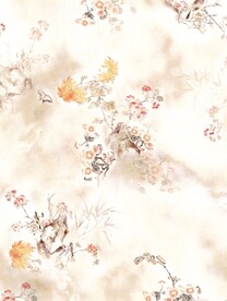 数码 乱花 