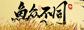 鱼众不同