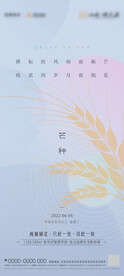 芒种 节气