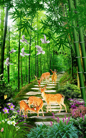 竹林风景