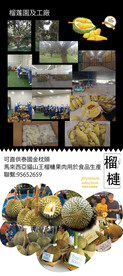 X架海报