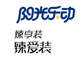 臻享装 字体设计