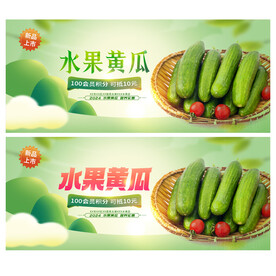黄瓜