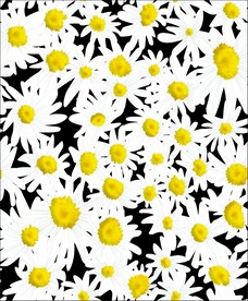 小花