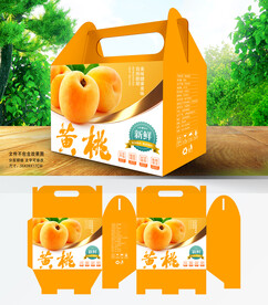 黄桃包装 桃子礼盒