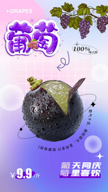 葡萄海报