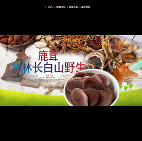 鹿茸广告宣传海报