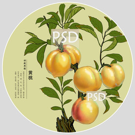 黄桃包装手绘装饰画