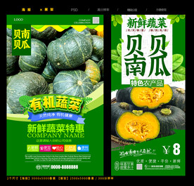 贝贝南瓜