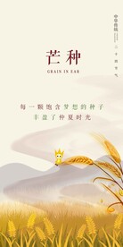 节气海报