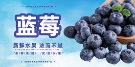 蓝莓