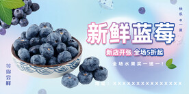 蓝莓