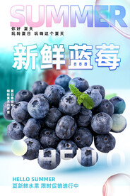 蓝莓