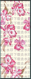 喇叭花