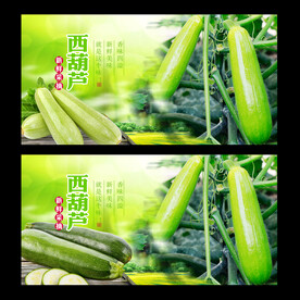 西葫芦