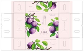 五月脆李礼盒