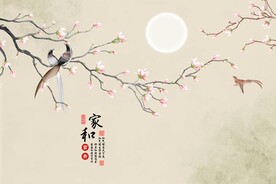 花鸟背景