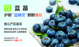 蓝莓 水果