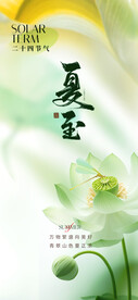 夏至海报