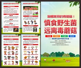 毒蘑菇中毒展板