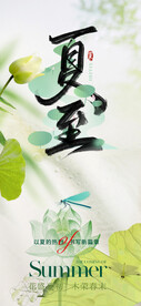 夏至节气海报