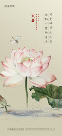  节气海报