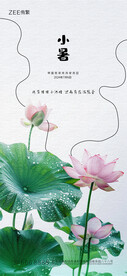 节气海报