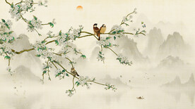 电视背景花鸟