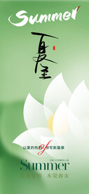 夏至节气海报