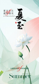 夏至节气海报