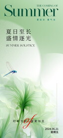 夏至节气海报