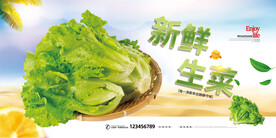 生菜