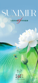 夏至节气海报