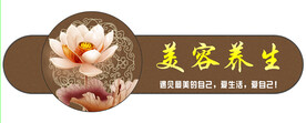 美容养生装饰画 