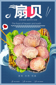 扇贝
