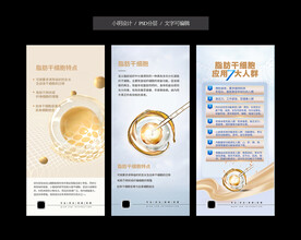 脂肪干细胞
