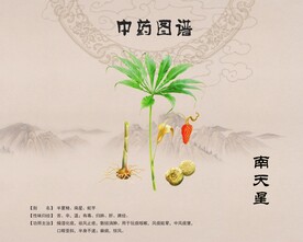 南天星