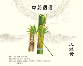 天竺黄